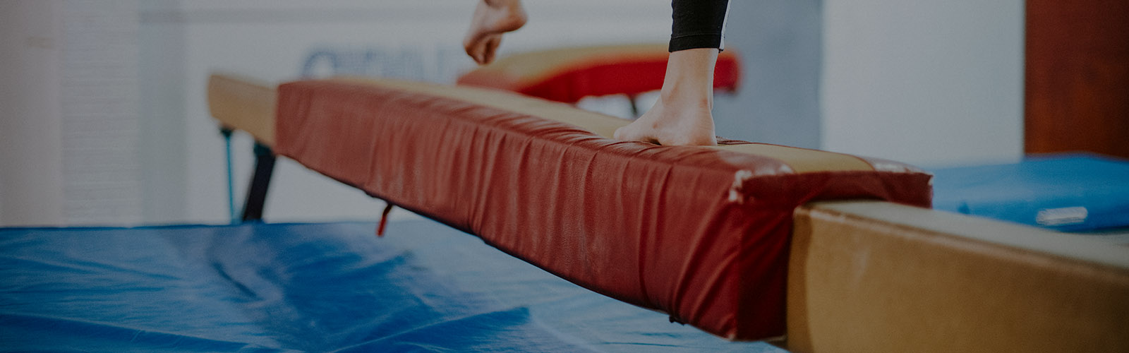 <h1>Active IQ Level 2 Award in Max Whitlock Gymnastics</h1>