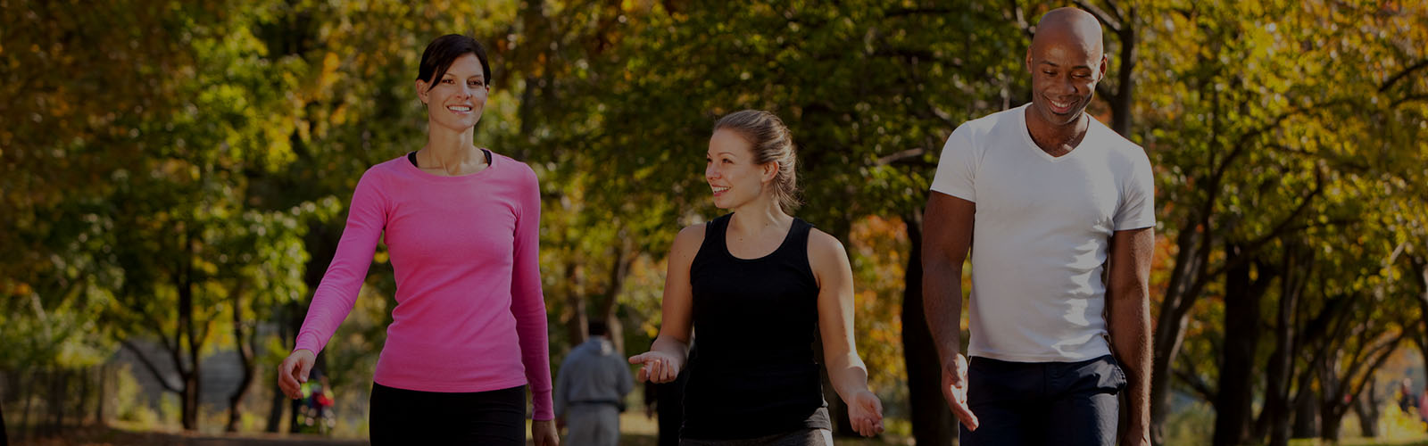 <h1>Active IQ Entry Level 3 Award in the Principles of Leading an Active, Healthy Life</h1>